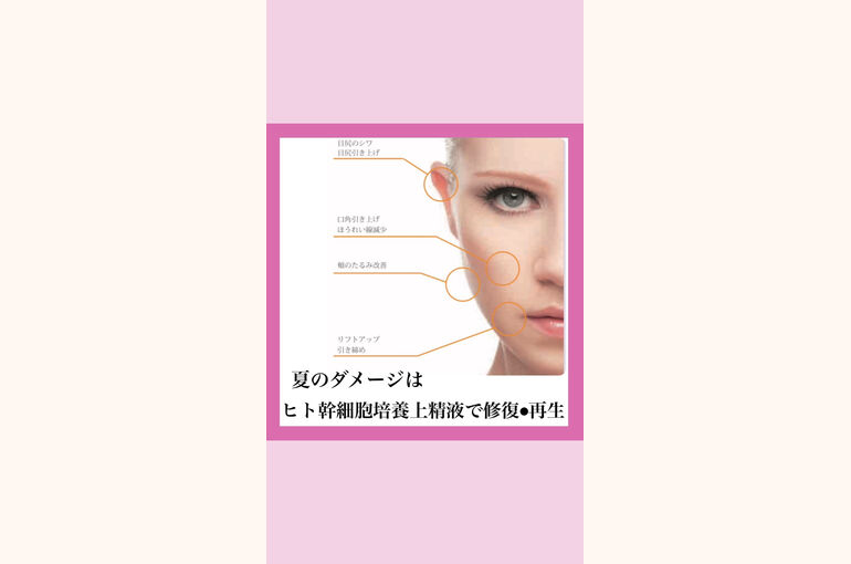 エレクトロポレーション　紫外線対策　肌ケア